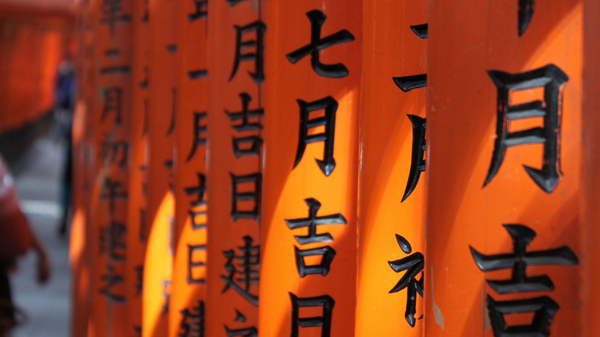 Full-Day Kyoto Bus Tour: Nijo Castle, Arashiyama & Fushimi Inari without tickets 7:30am