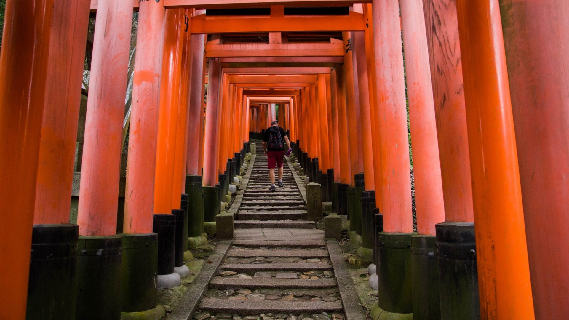 Full-Day Kyoto Bus Tour: Nijo Castle, Arashiyama & Fushimi Inari without tickets 7:30am