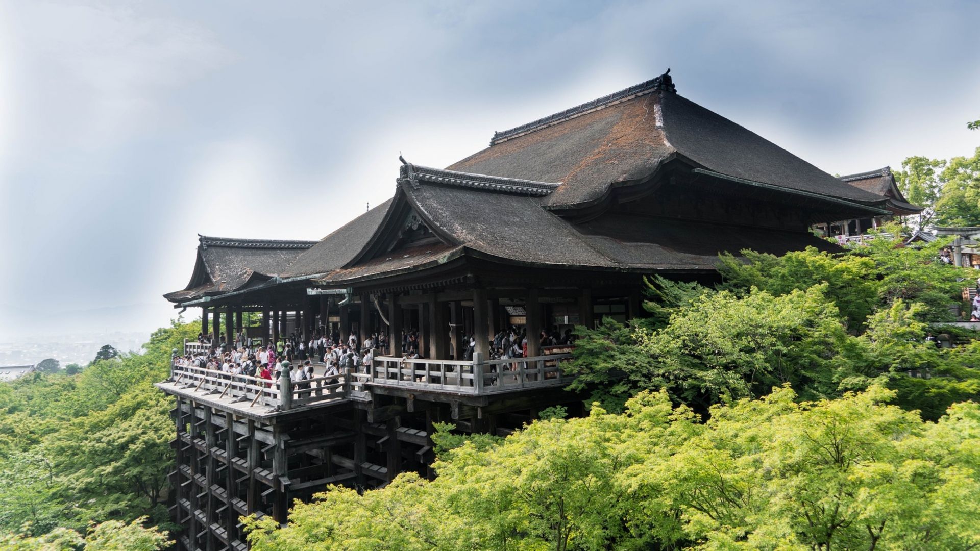 Full-Day Kyoto Bus Tour: Nijo Castle, Arashiyama & Fushimi Inari without tickets 7:30am