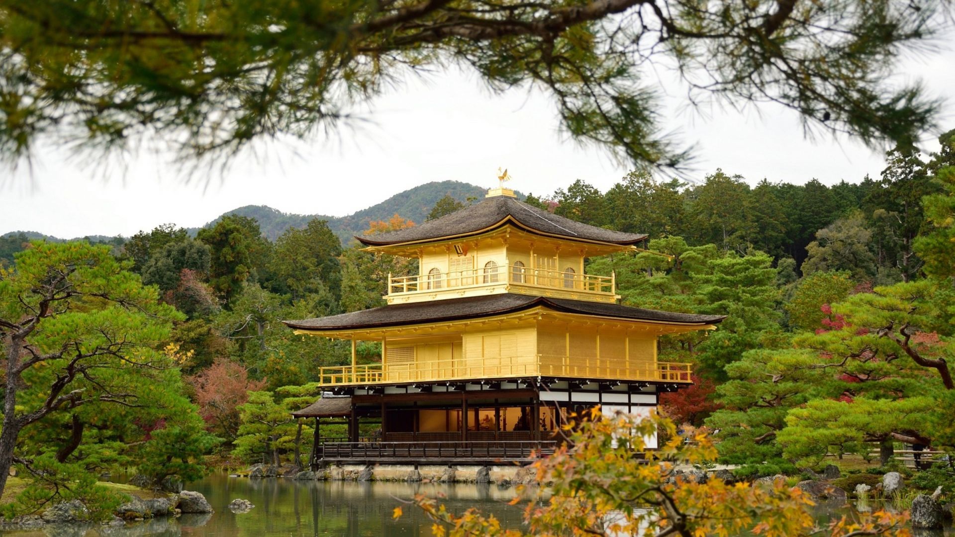 Full-Day Kyoto Bus Tour: Nijo Castle, Arashiyama & Fushimi Inari without tickets 7:30am