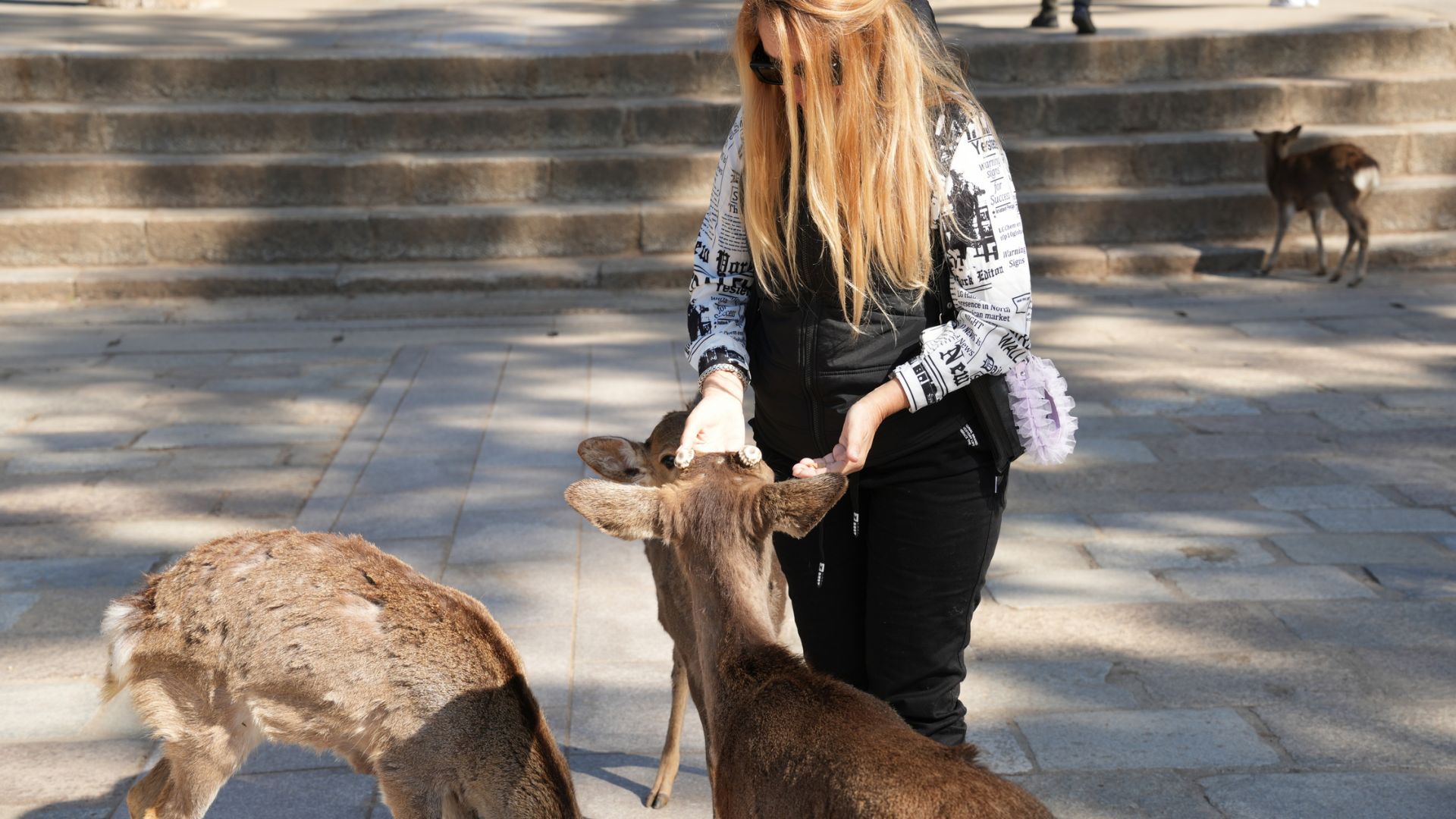 Visit Himeji, Nara, and Kobe from Osaka Bilingual Shared Tour