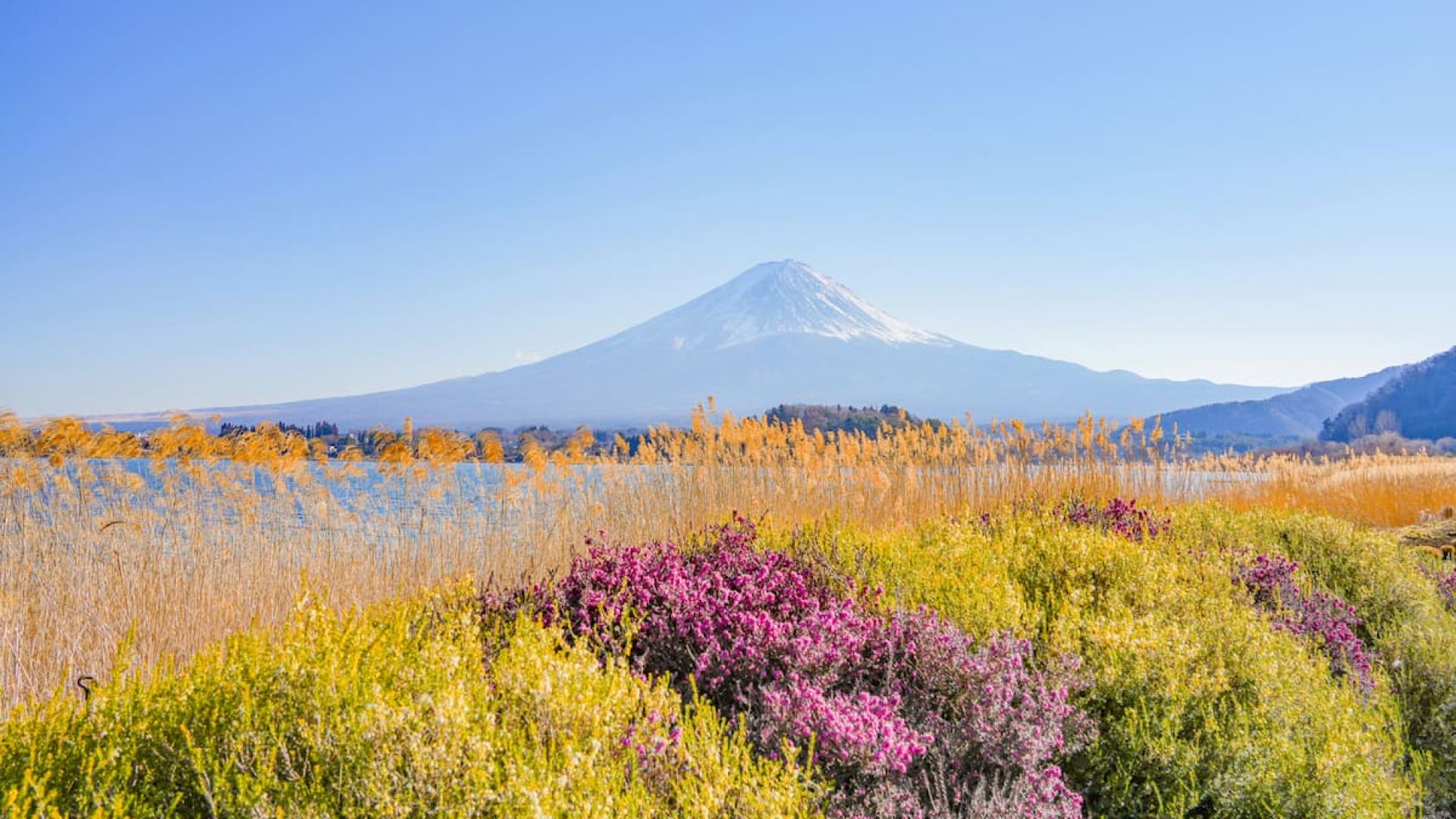 Mount Fuji, Kamakura, Lake Ashi & Big Buddha