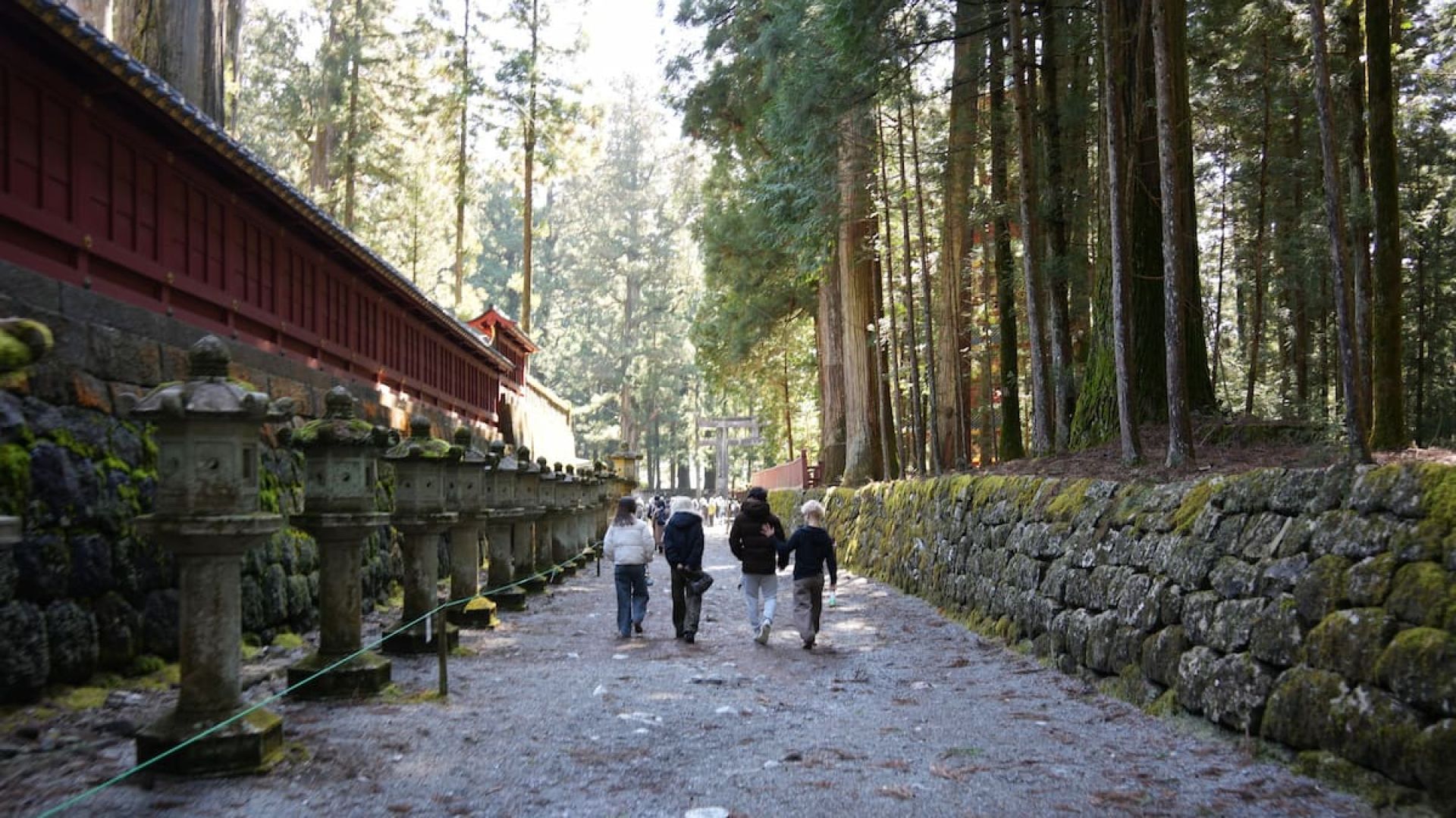 From Tokyo: Nikko the Beauty of Kegon Waterfall & Chuzenji Lake