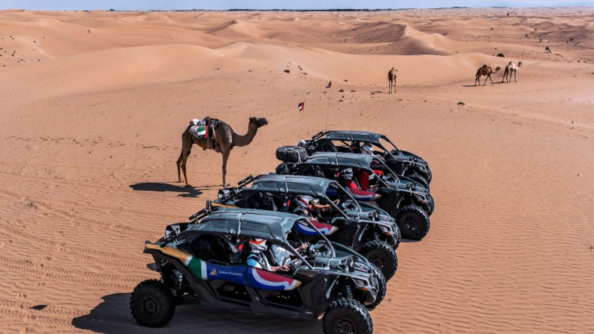 Dune Buggy Adventure - Late Afternoon  - Private Buggy