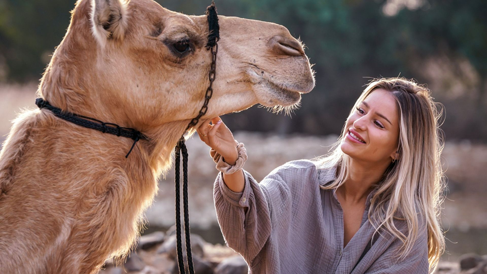 Camel Ride Experience - Shared Vehicle