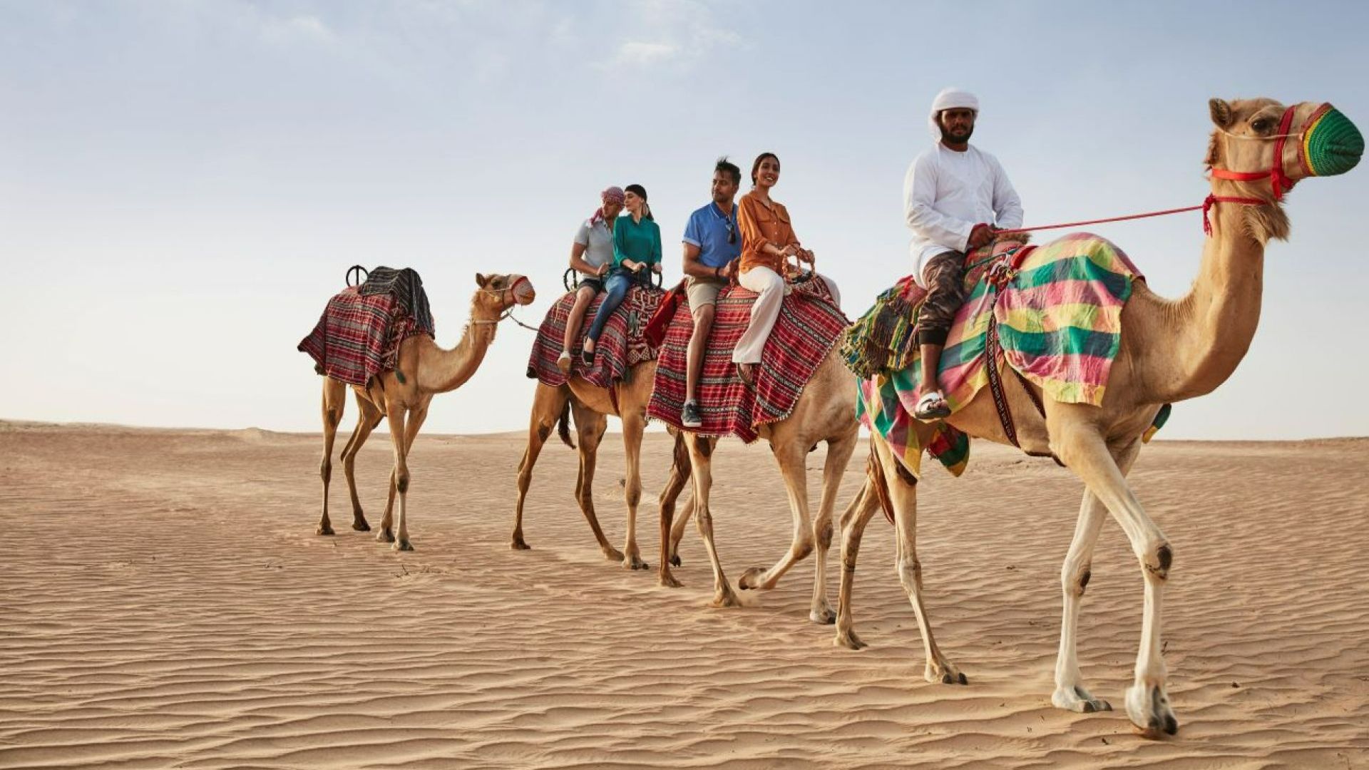Camel Ride Experience - Private Vehicle