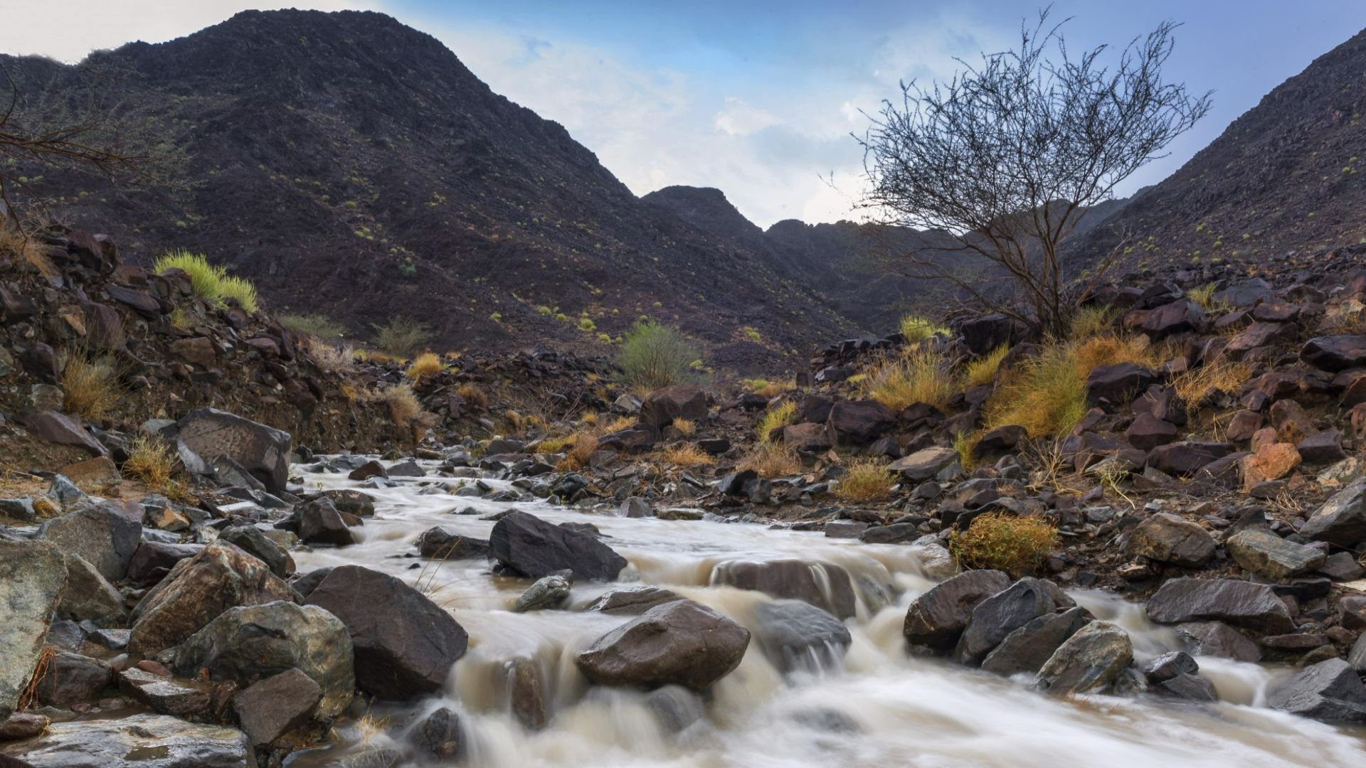 Wadi Adventure - Private 4x4 transfers