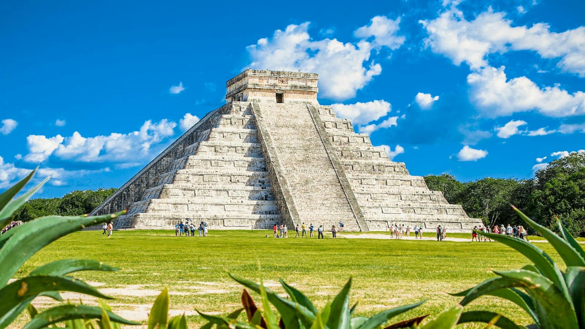 Tour with Hotel Pick Up in Cancún