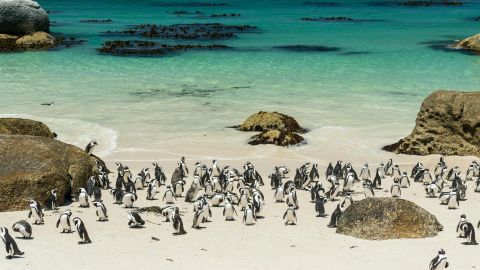 Standard