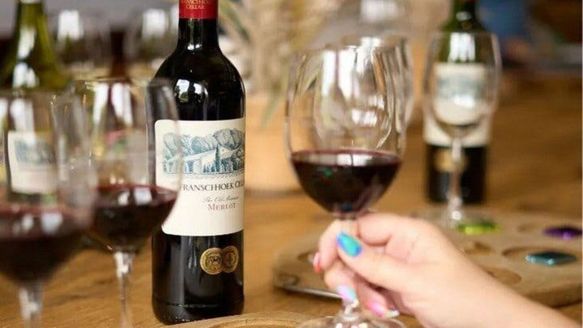 Cape Town Shared Wine Tour