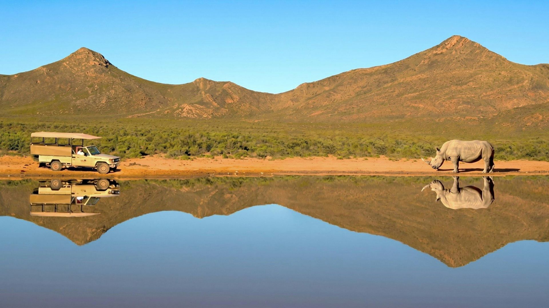 From Cape Town: Full-Day Big Five Safari Experience with Lunch at Aquila Game Reserve