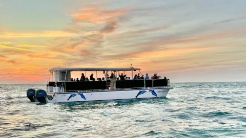 Sand Dollar Island Sunset Tour
