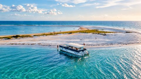 Sand Dollar Island Dolphin Tour