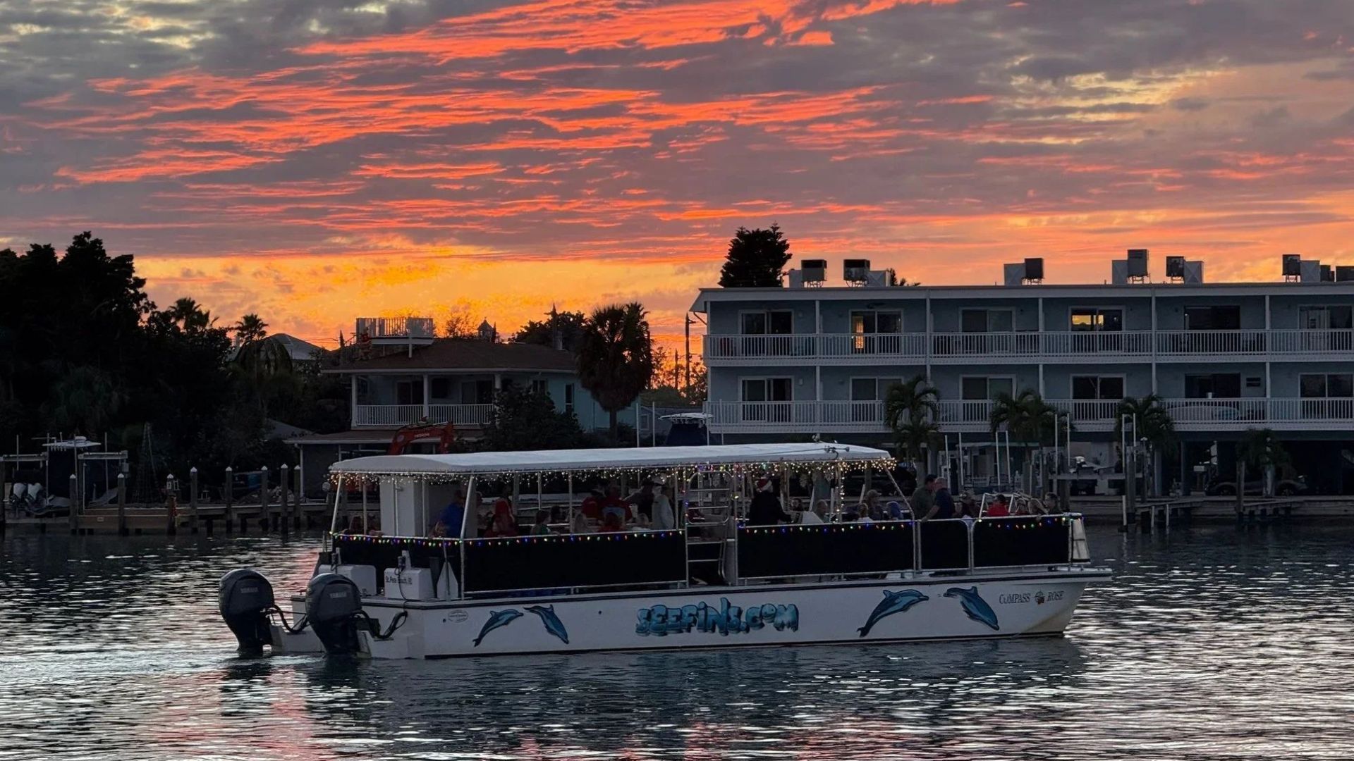 Sand Dollar Island Sunset Tour