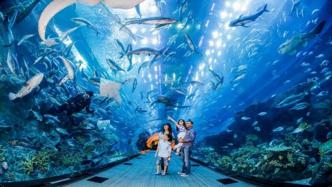 At the Top Burj Khalifa & Dubai Aquarium Combo: Buy Ticket Online