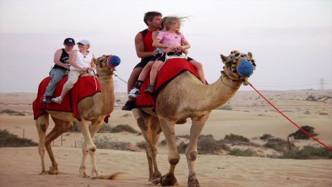 Orient Tours - Sunrise Camel Trek in the Dubai Desert