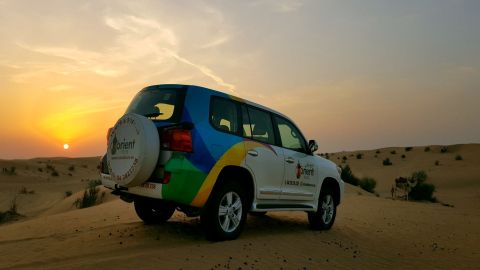 Orient Tours - Private Desert Sunrise and Wildlife Experience