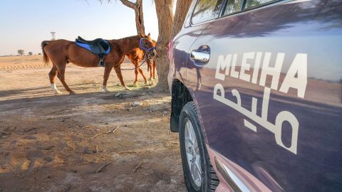 Private Desert Drive in Dubai with Mleiha Museum Visit & Horse Riding