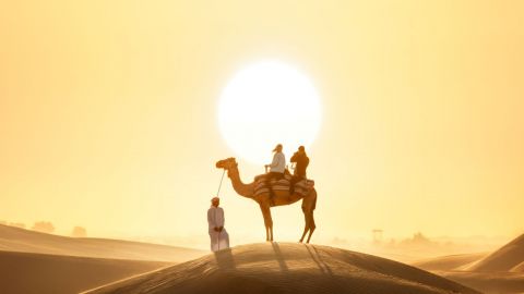 Sunrise Camel Trek in the Dubai Desert