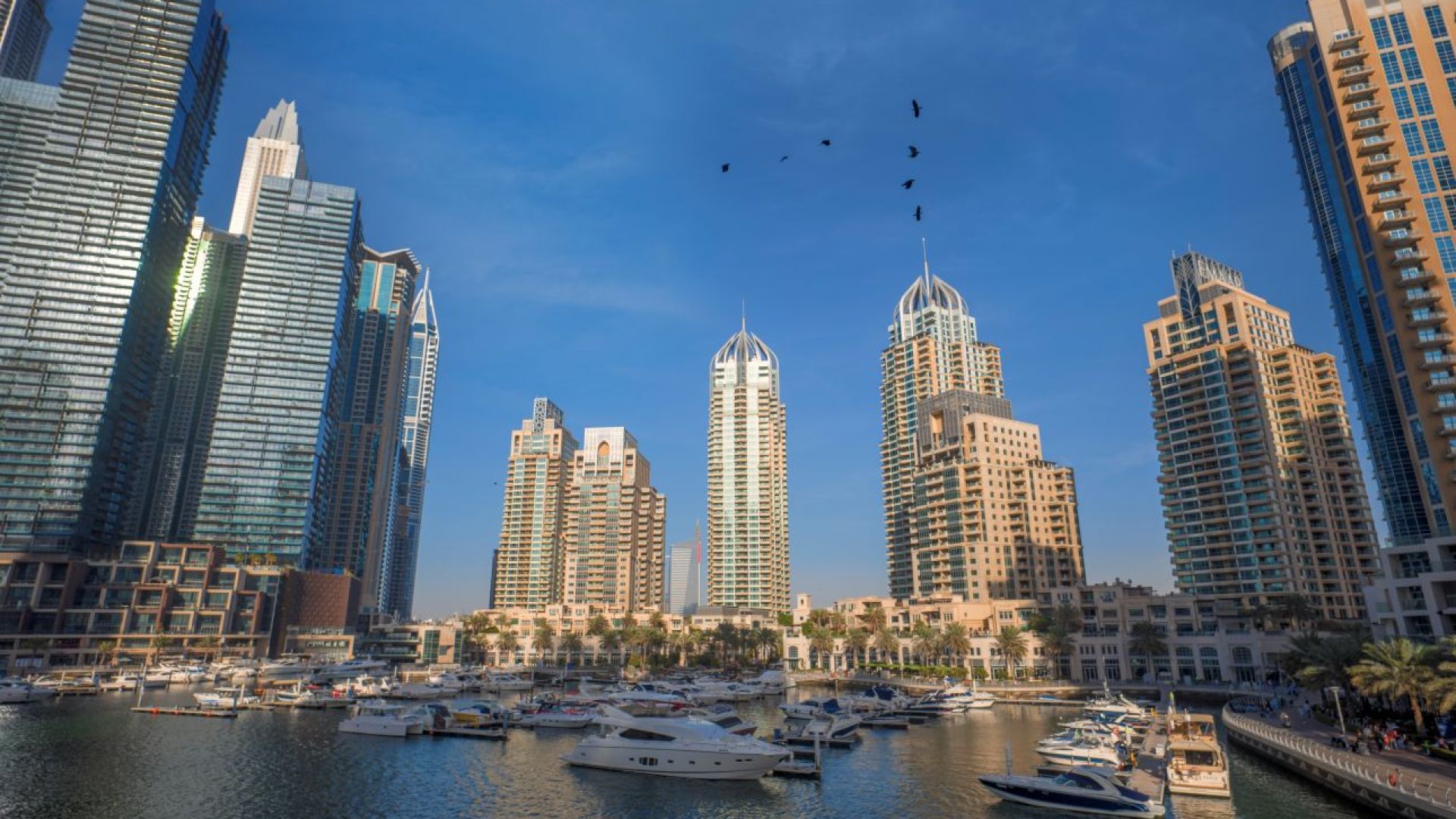 Dubai Marina Boat Tour: Marina Sightseeing Dhow Cruise Tour