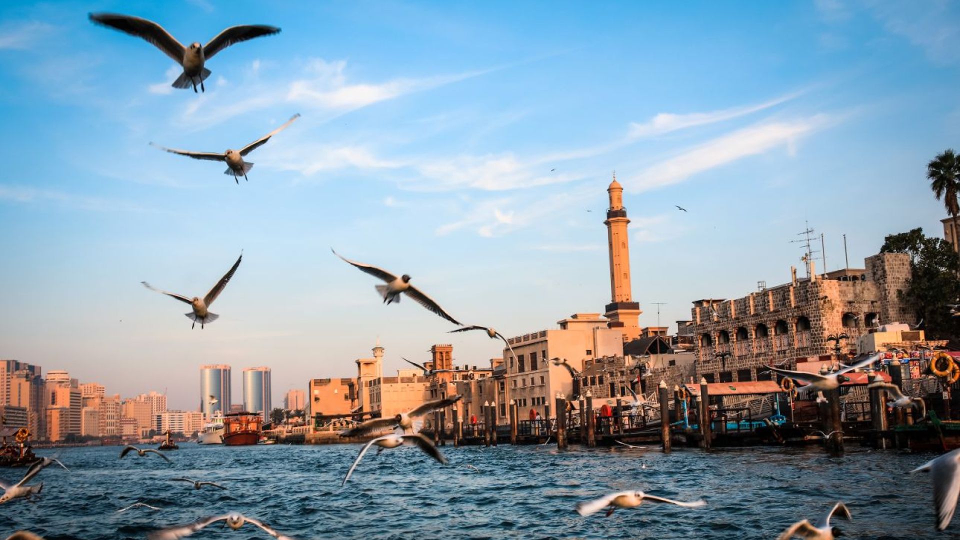 Creek Sightseeing Cruise Dubai: Dubai Cruise Tour Deals