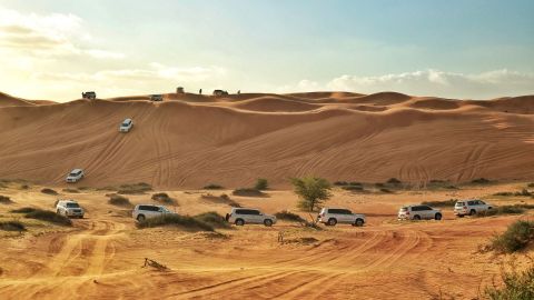 Desert Safari in Ras Al Khaimah: Dune Bashing, Sand Boarding, Camel Ride with transfers in RAK