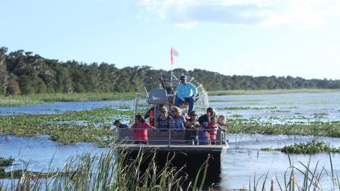 Boggy Creek Airboats: Scenic 30 minute tour